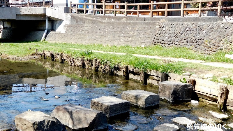 「月がきれい」舞台探訪016 桜の季節に新河岸川氷川橋から起点の碑までを巡って(H300325)_e0304702_20411905.jpg