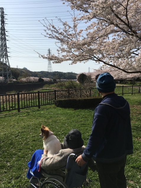 f0034602_19024734.jpeg