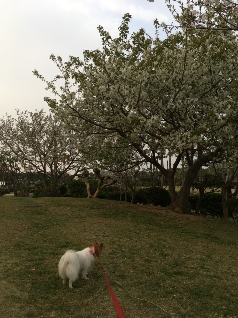 f0034602_19070605.jpeg