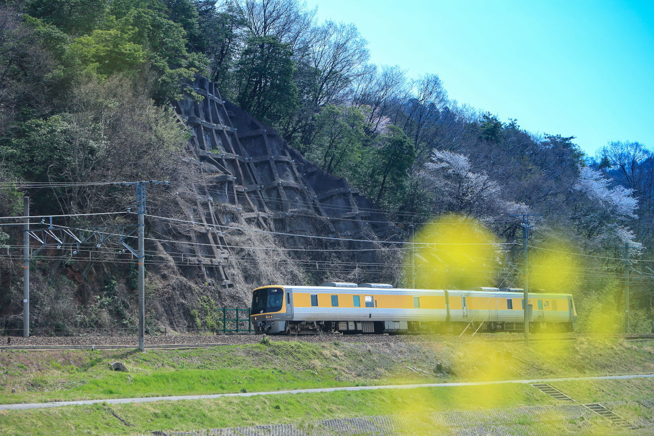 c0260804_23441416.jpg