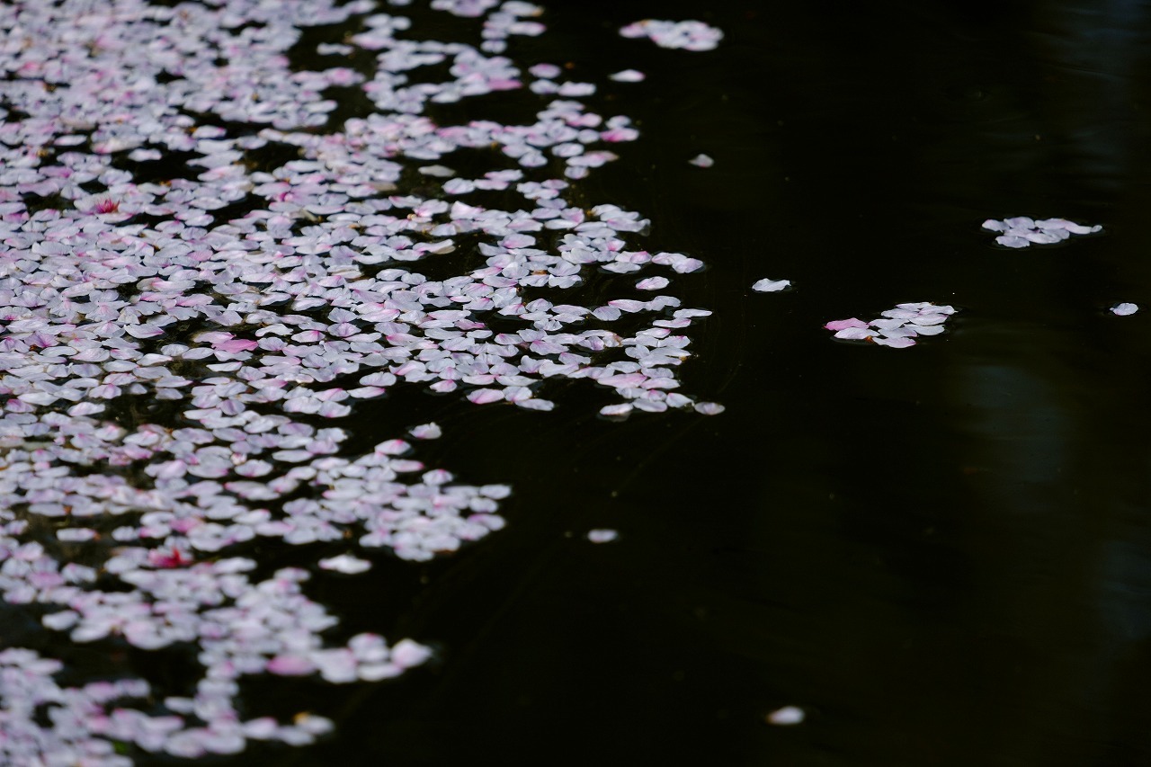 e0355004_20113587.jpg