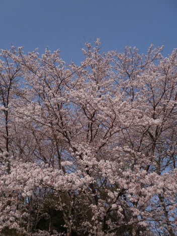 b0254207_22531320.jpg