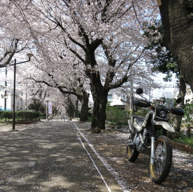 春バイク始動 2 東京林道探索blog
