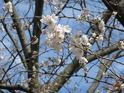 b0143308_22025955.jpg