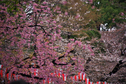 a0263109_17582875.jpg
