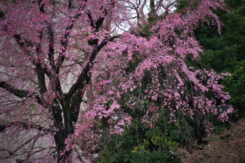 a0263109_18370673.jpg