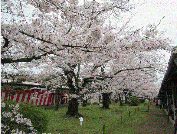 f0231709_12563049.gif