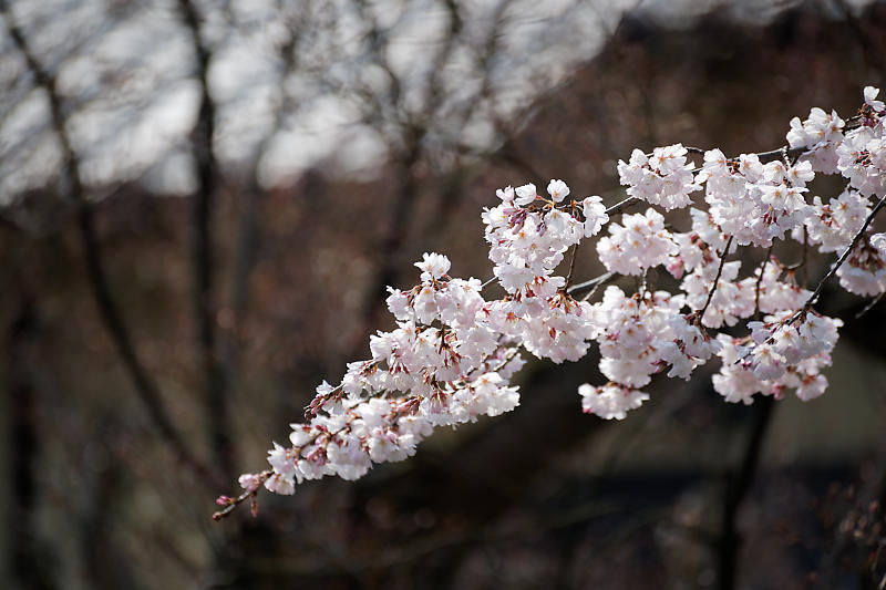 f0032011_20511090.jpg