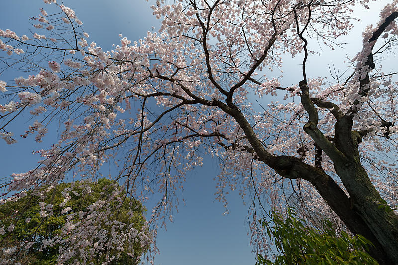 f0032011_20511145.jpg