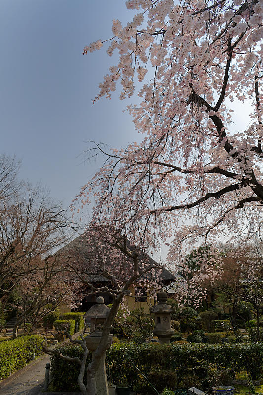 f0032011_20511155.jpg
