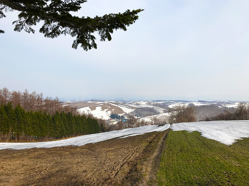 追いつく雪解け_c0033513_22073610.jpg