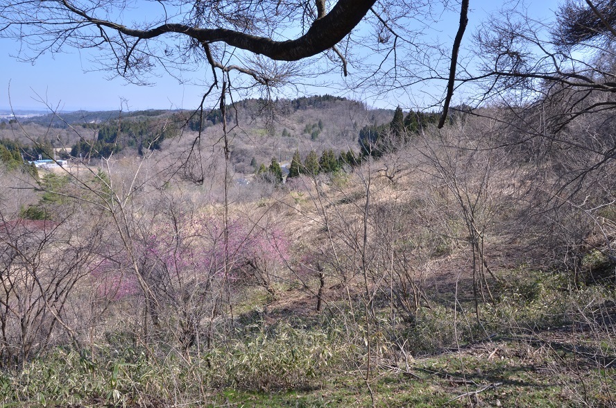 e0349817_22002656.jpg