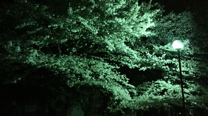 d0221319_22434615.jpeg