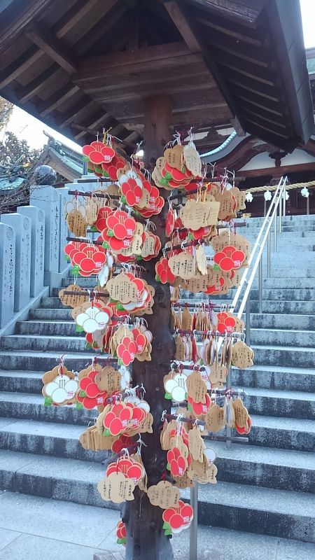 引っ越し 松山から東京へ (その2)_e0101819_12034825.jpg