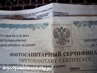 f0235224_13451962.jpg