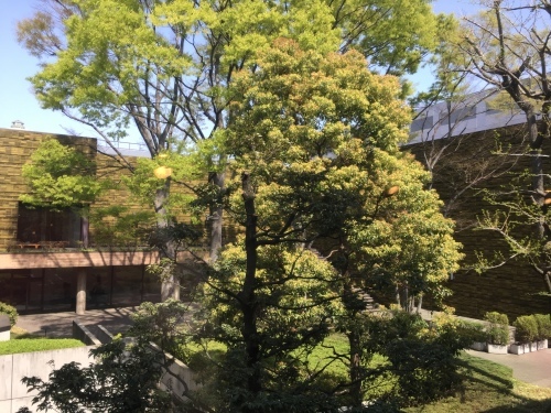 c0157625_20475538.jpeg