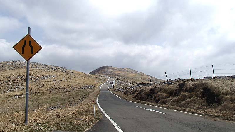 b0020828_22510773.jpg