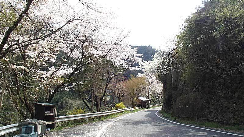 b0020828_22575633.jpg