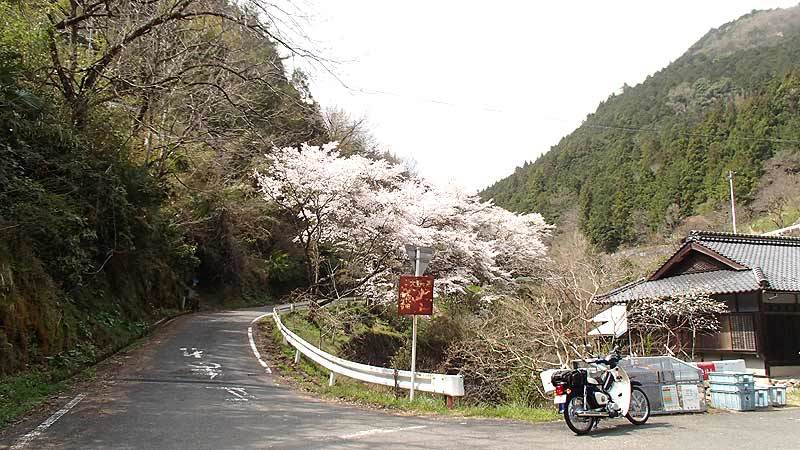 b0020828_22575736.jpg