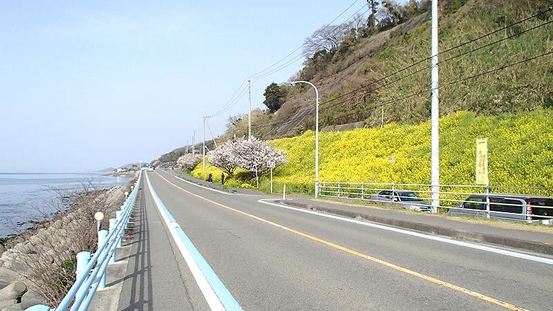 b0020828_22575750.jpg