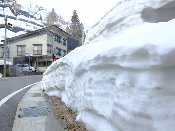 「新潟・十日町 松之山温泉散歩&玉城屋」_a0000029_15445909.jpg