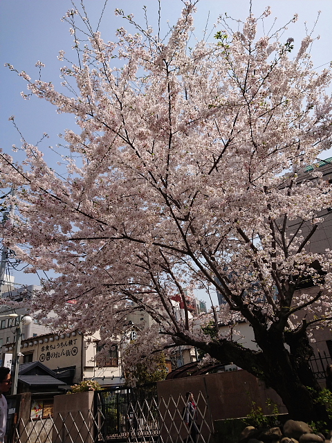 a0222229_5403176.jpg