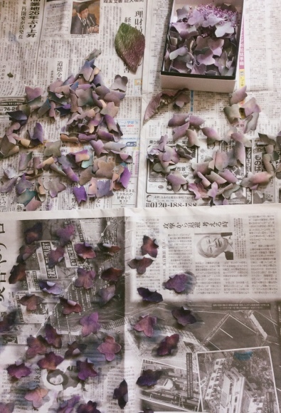 a0279029_12081366.jpeg