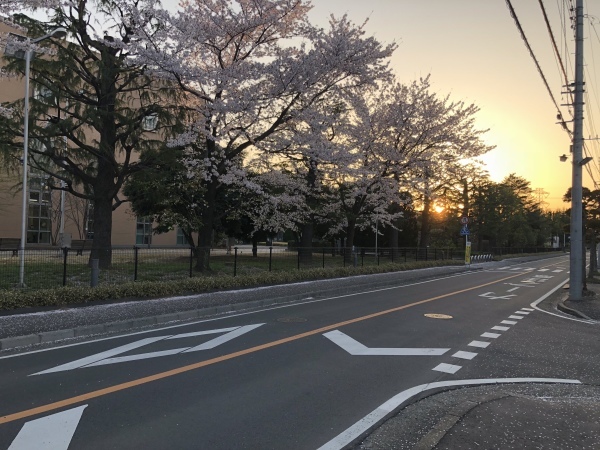 b0097729_08485314.jpeg