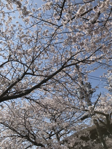 c0345631_18220582.jpeg