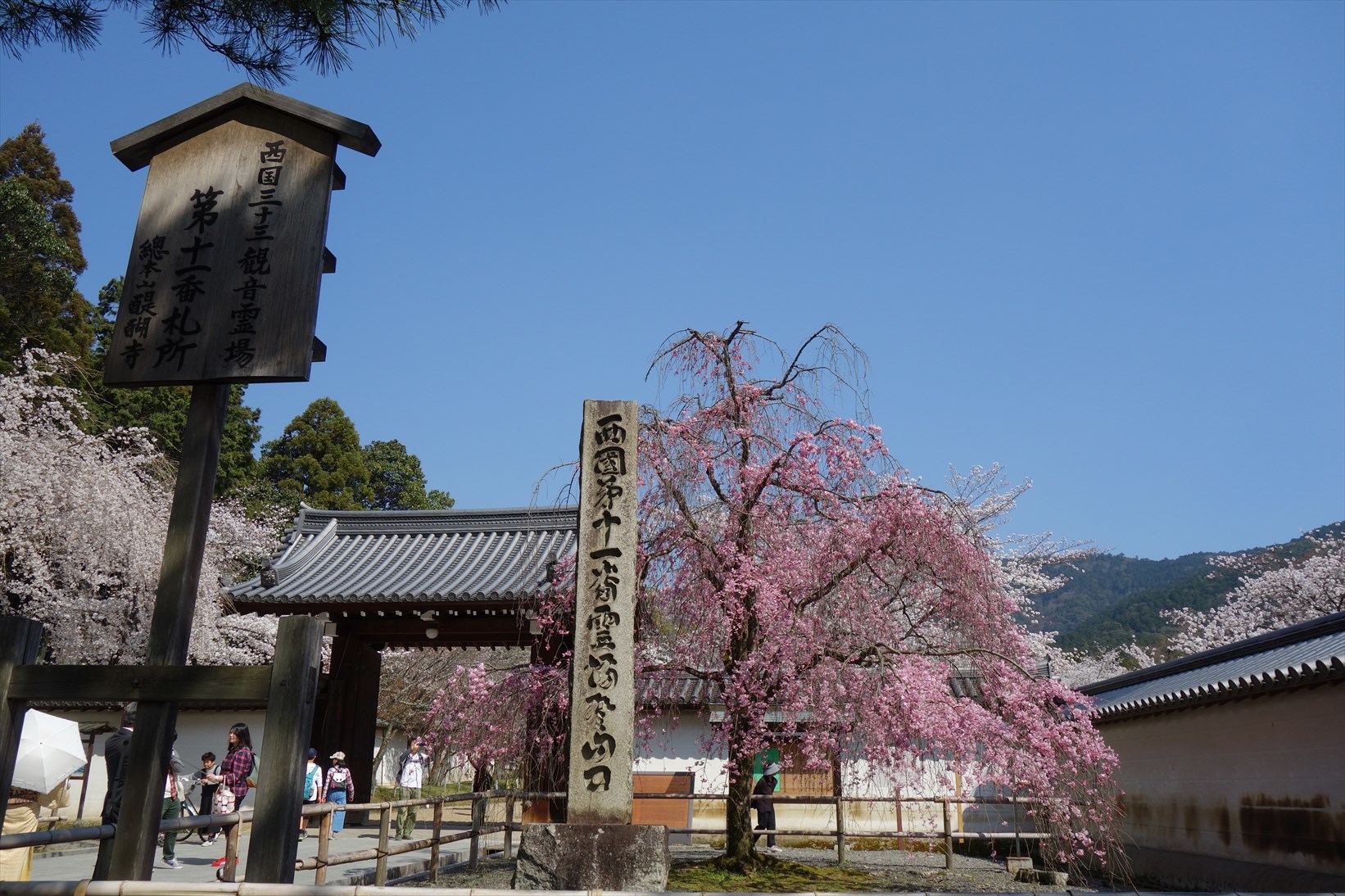 △　お花見山行　醍醐寺~音羽山　△_f0348933_20543436.jpg