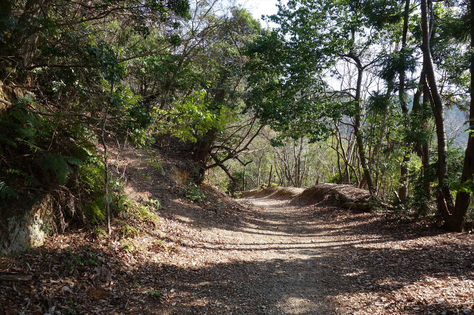f0348933_21021075.jpg