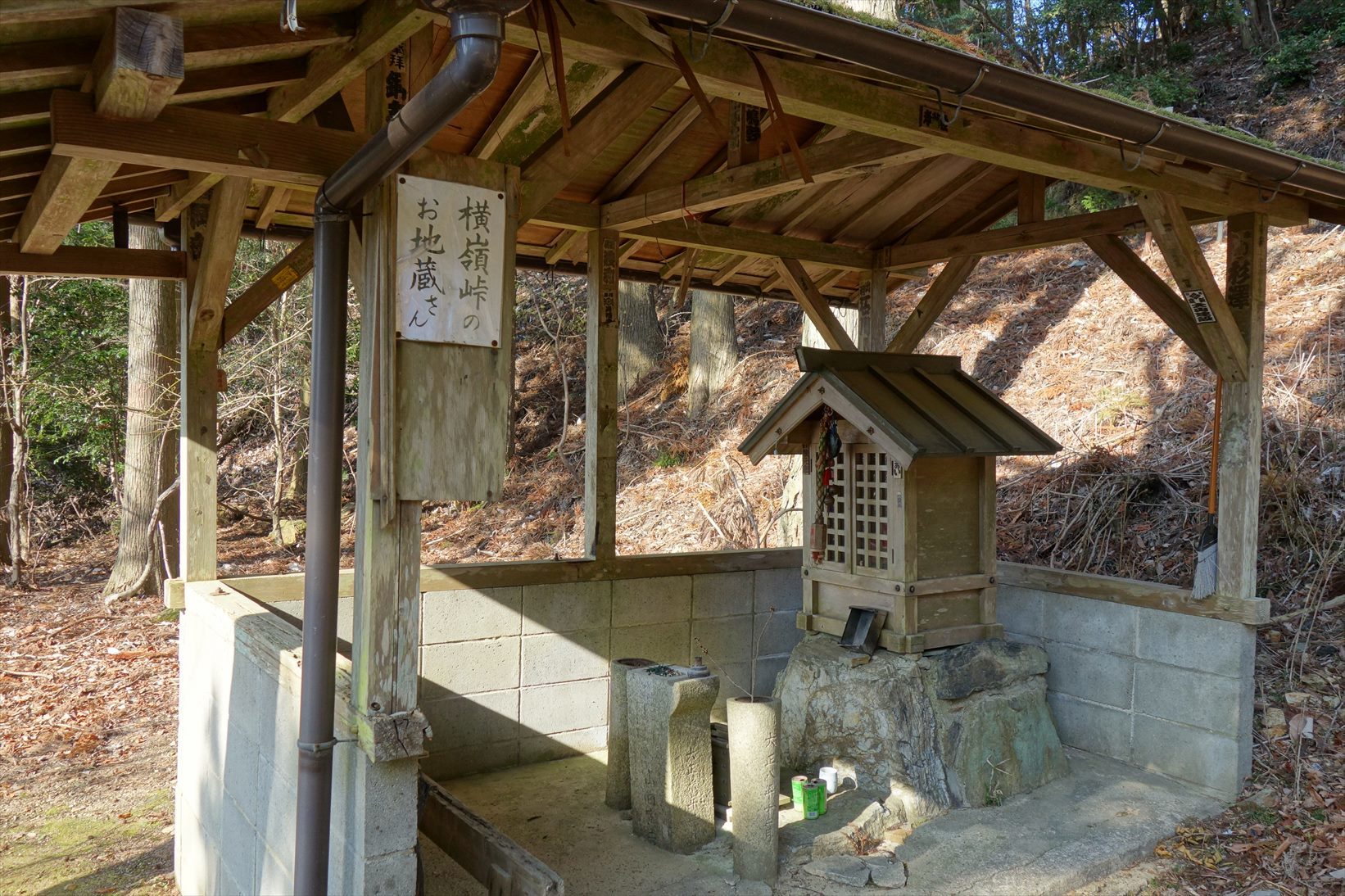 △　お花見山行　醍醐寺~音羽山　△_f0348933_21055442.jpg