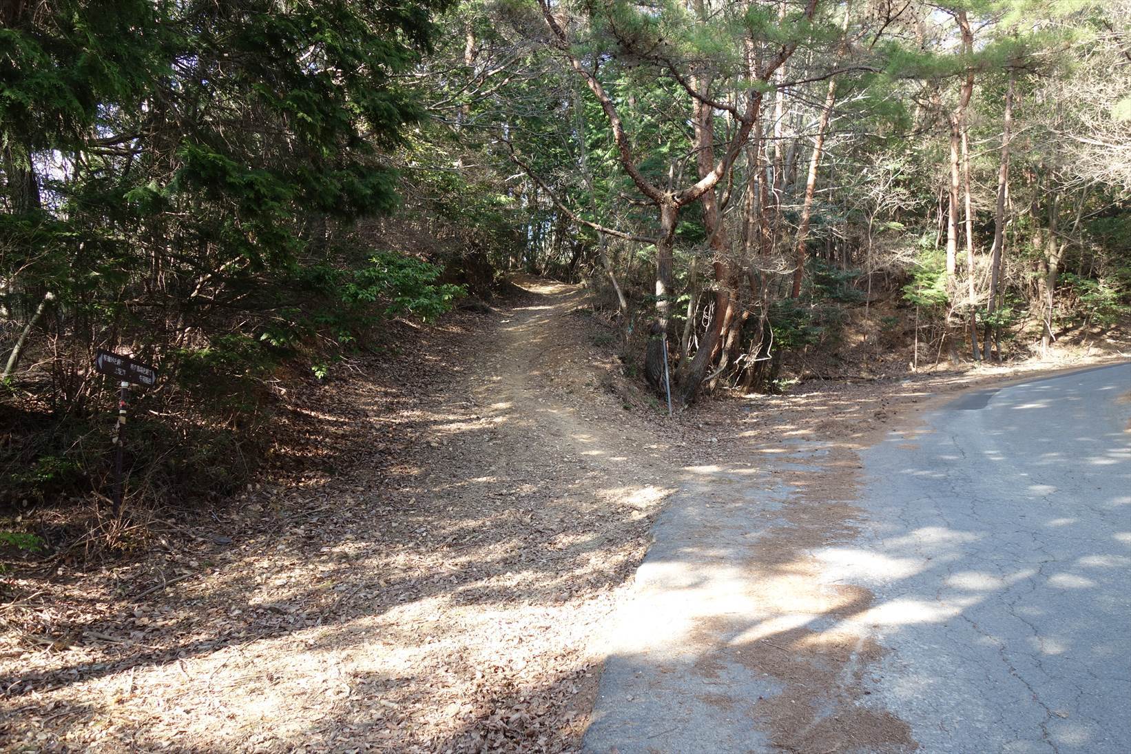 △　お花見山行　醍醐寺~音羽山　△_f0348933_21065093.jpg