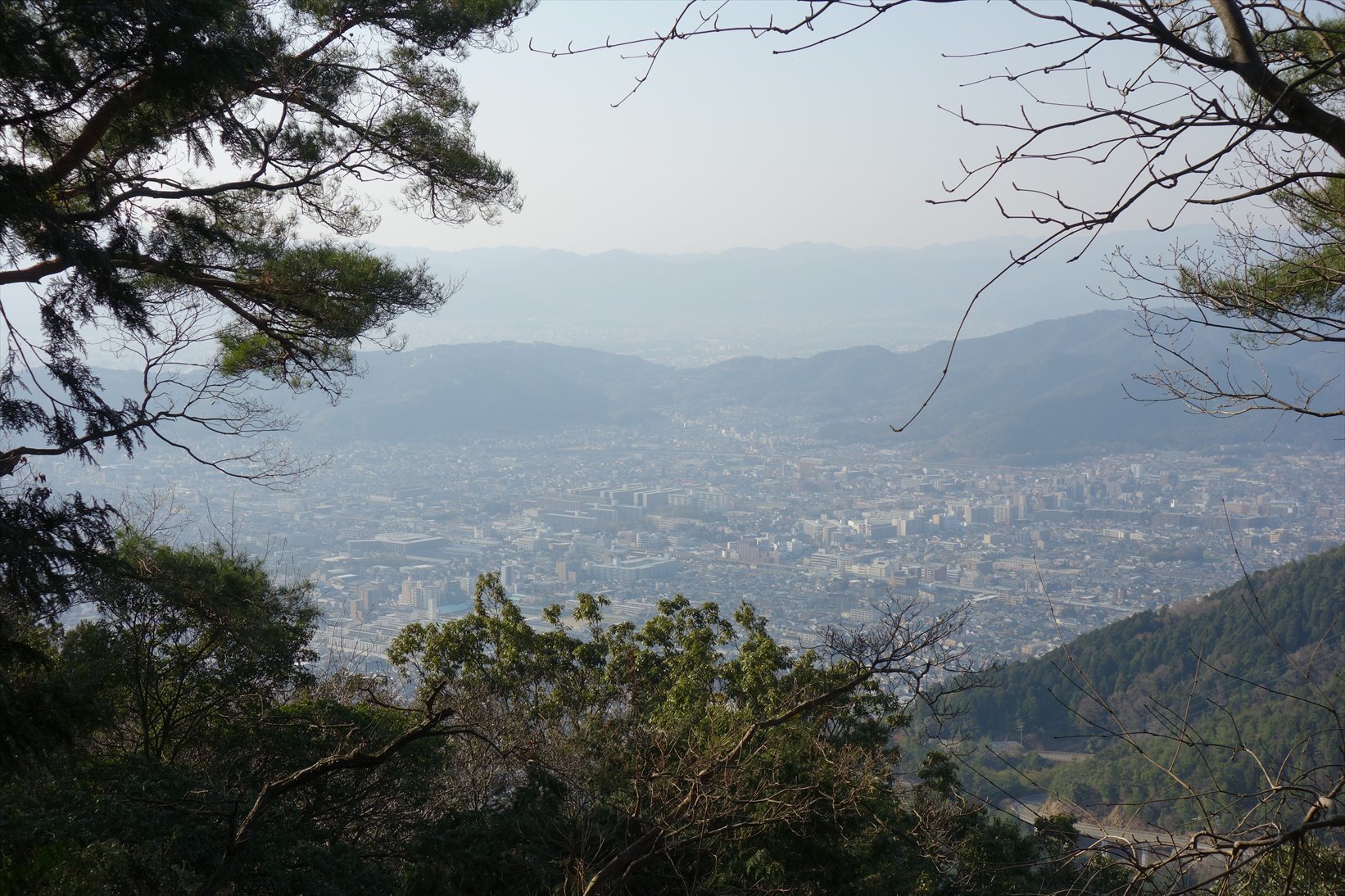 △　お花見山行　醍醐寺~音羽山　△_f0348933_21084450.jpg