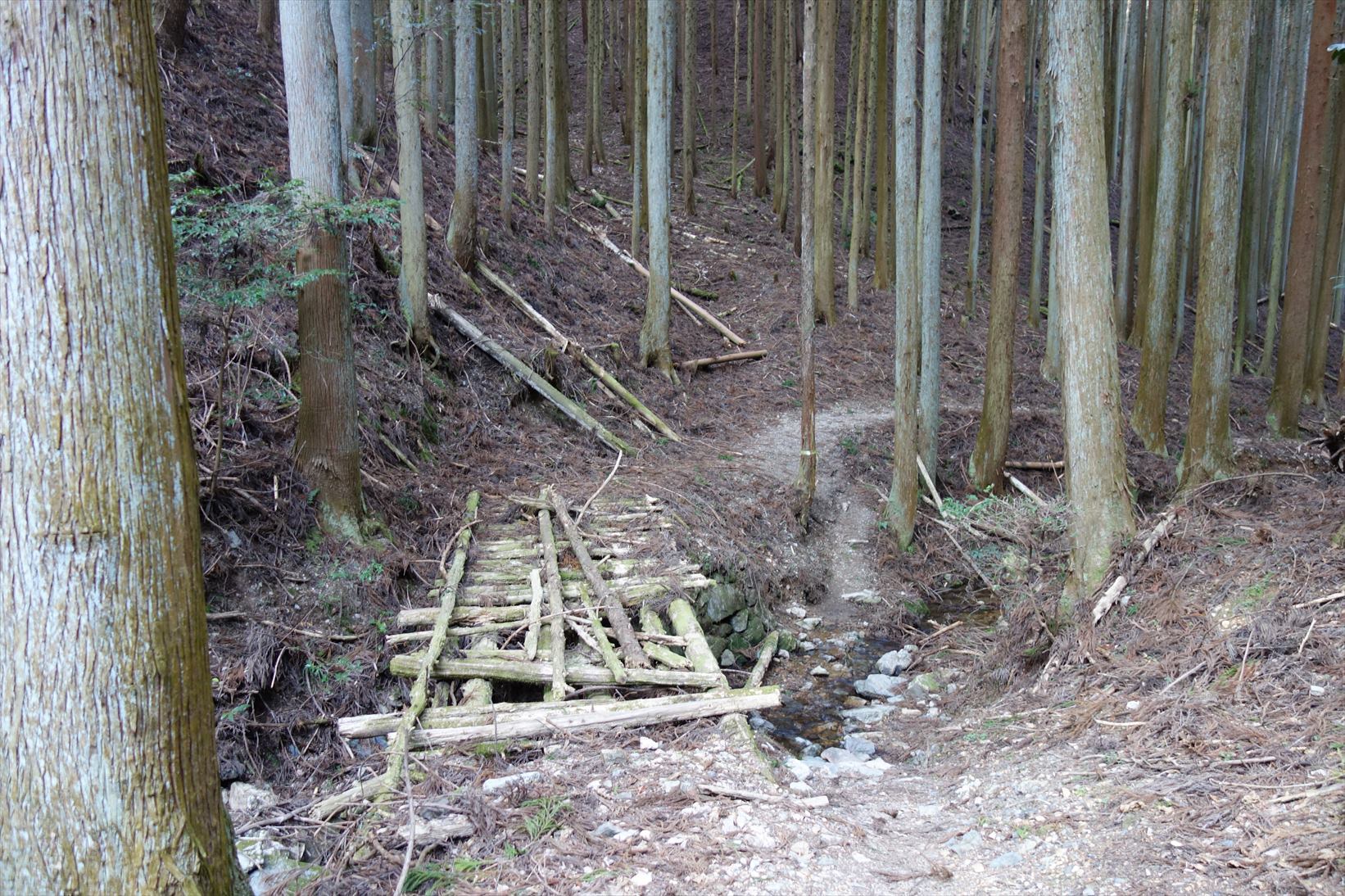 △　お花見山行　醍醐寺~音羽山　△_f0348933_21111875.jpg