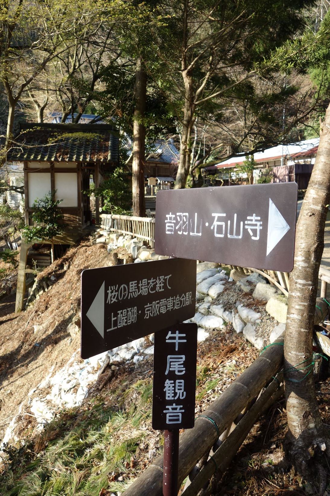 △　お花見山行　醍醐寺~音羽山　△_f0348933_21140952.jpg