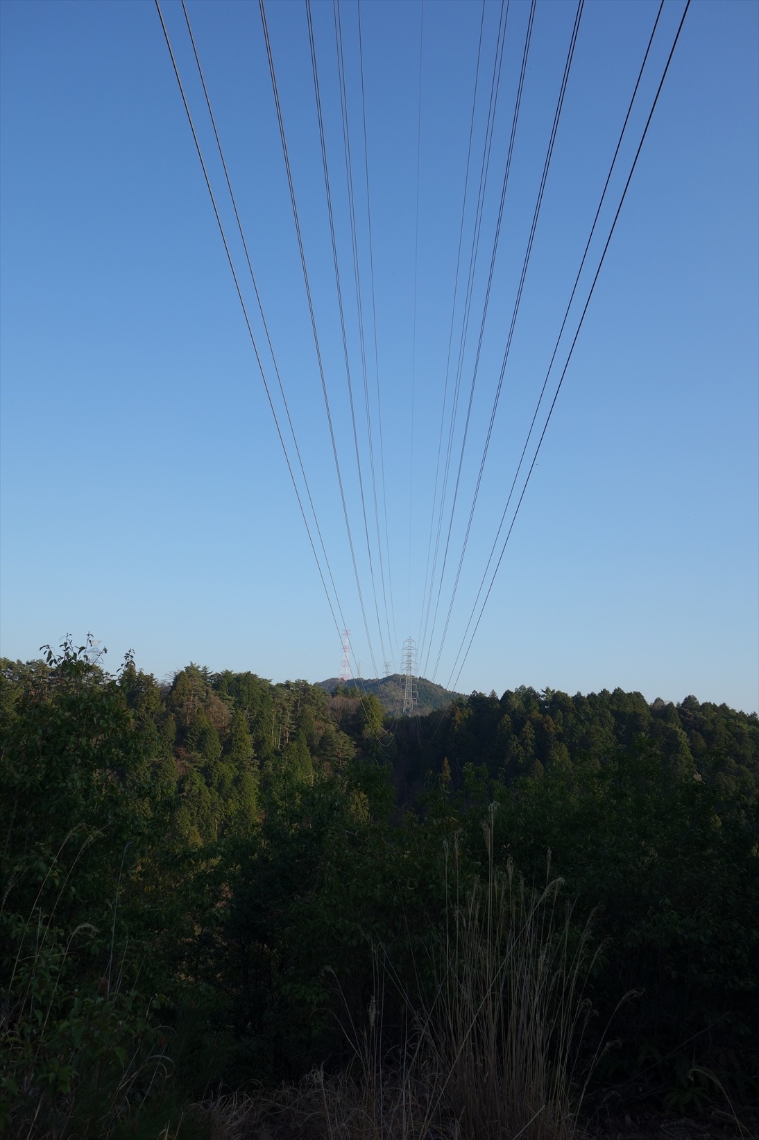 △　お花見山行　醍醐寺~音羽山　△_f0348933_21151923.jpg