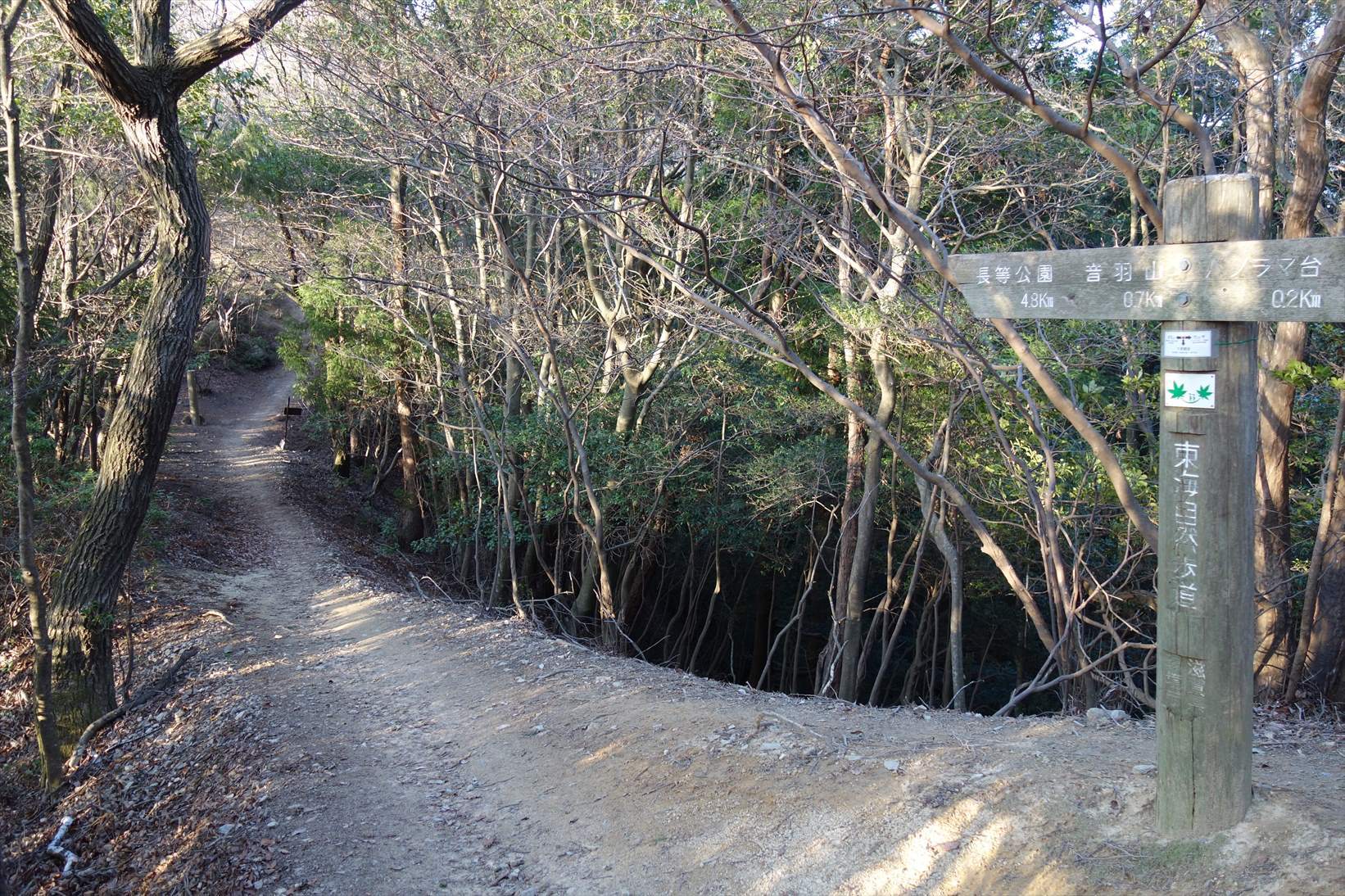 △　お花見山行　醍醐寺~音羽山　△_f0348933_21182043.jpg