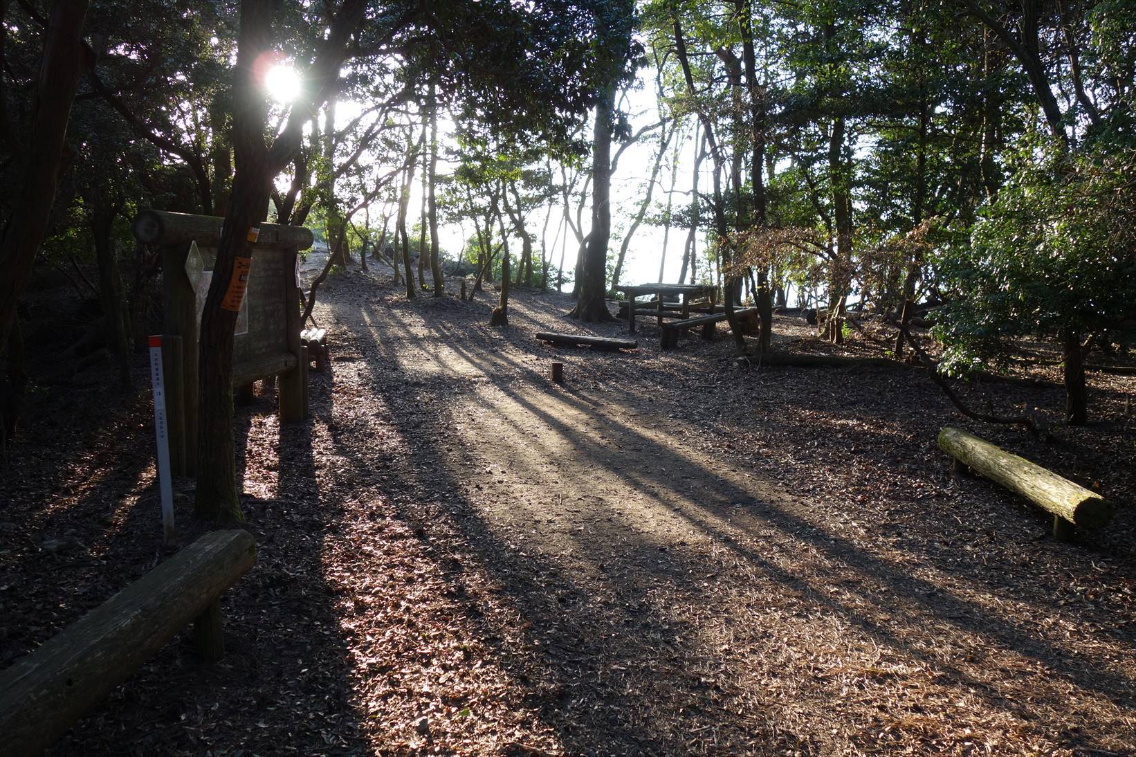 △　お花見山行　醍醐寺~音羽山　△_f0348933_21195402.jpg