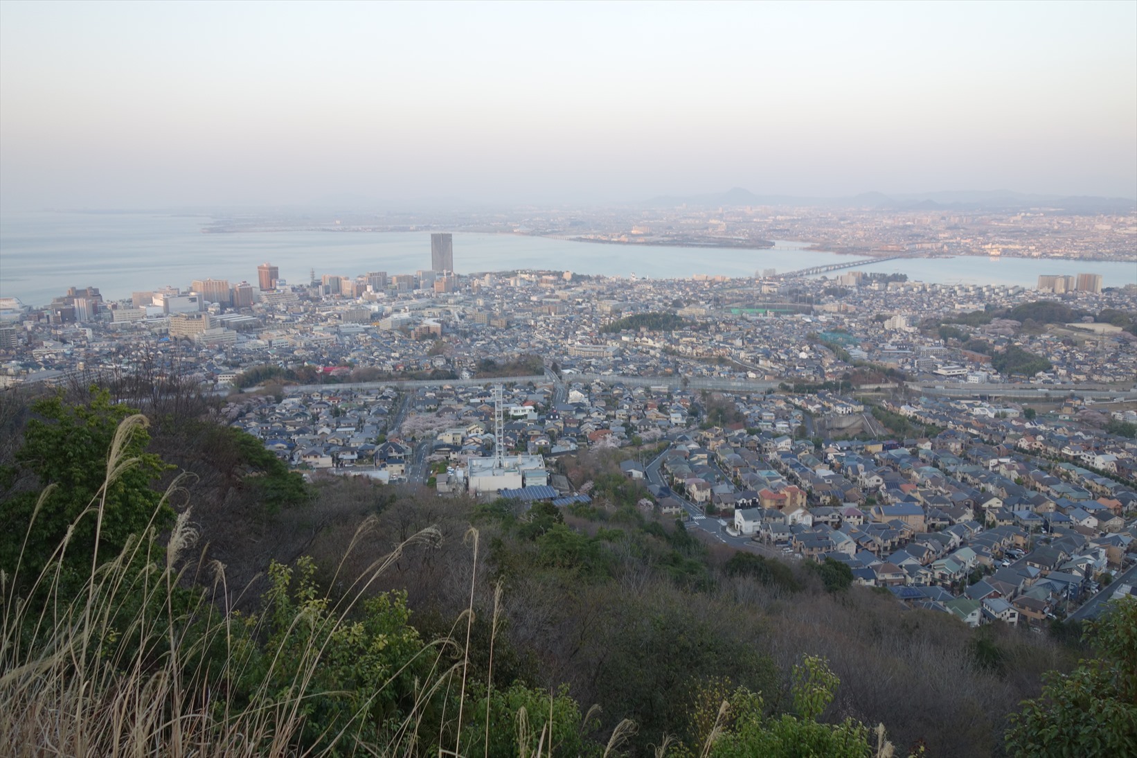 △　お花見山行　醍醐寺~音羽山　△_f0348933_21232930.jpg