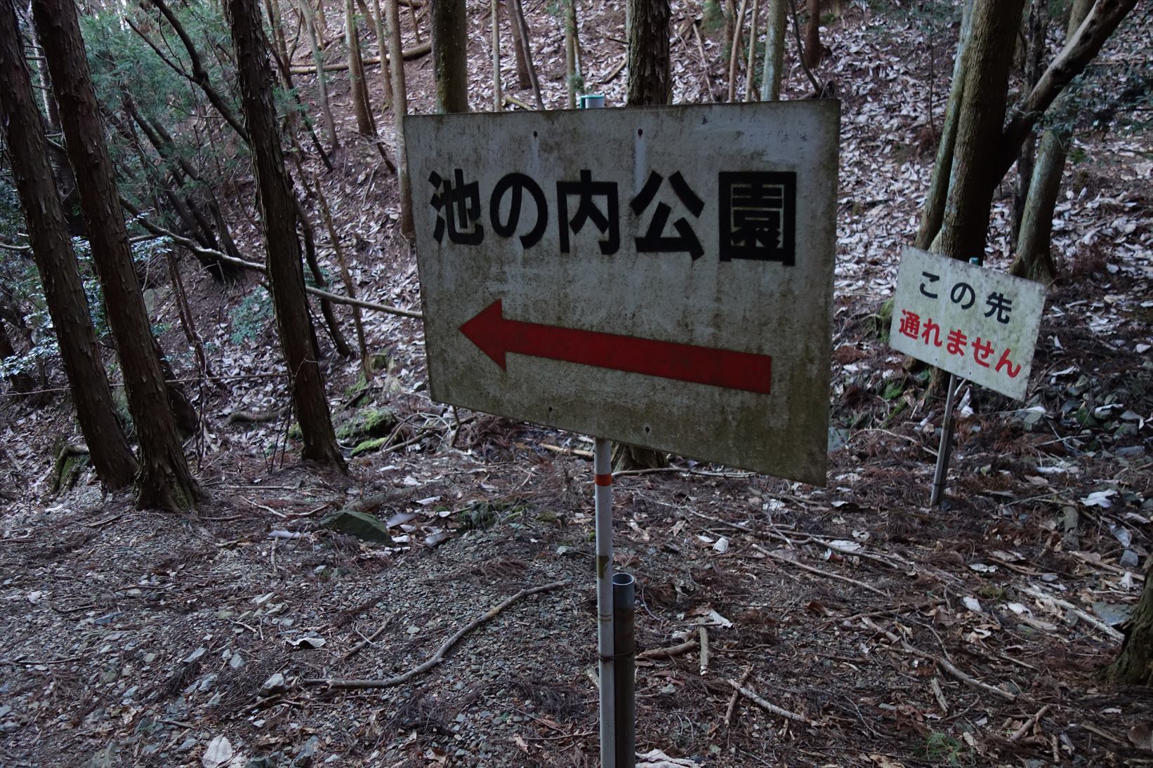 f0348933_21245995.jpg