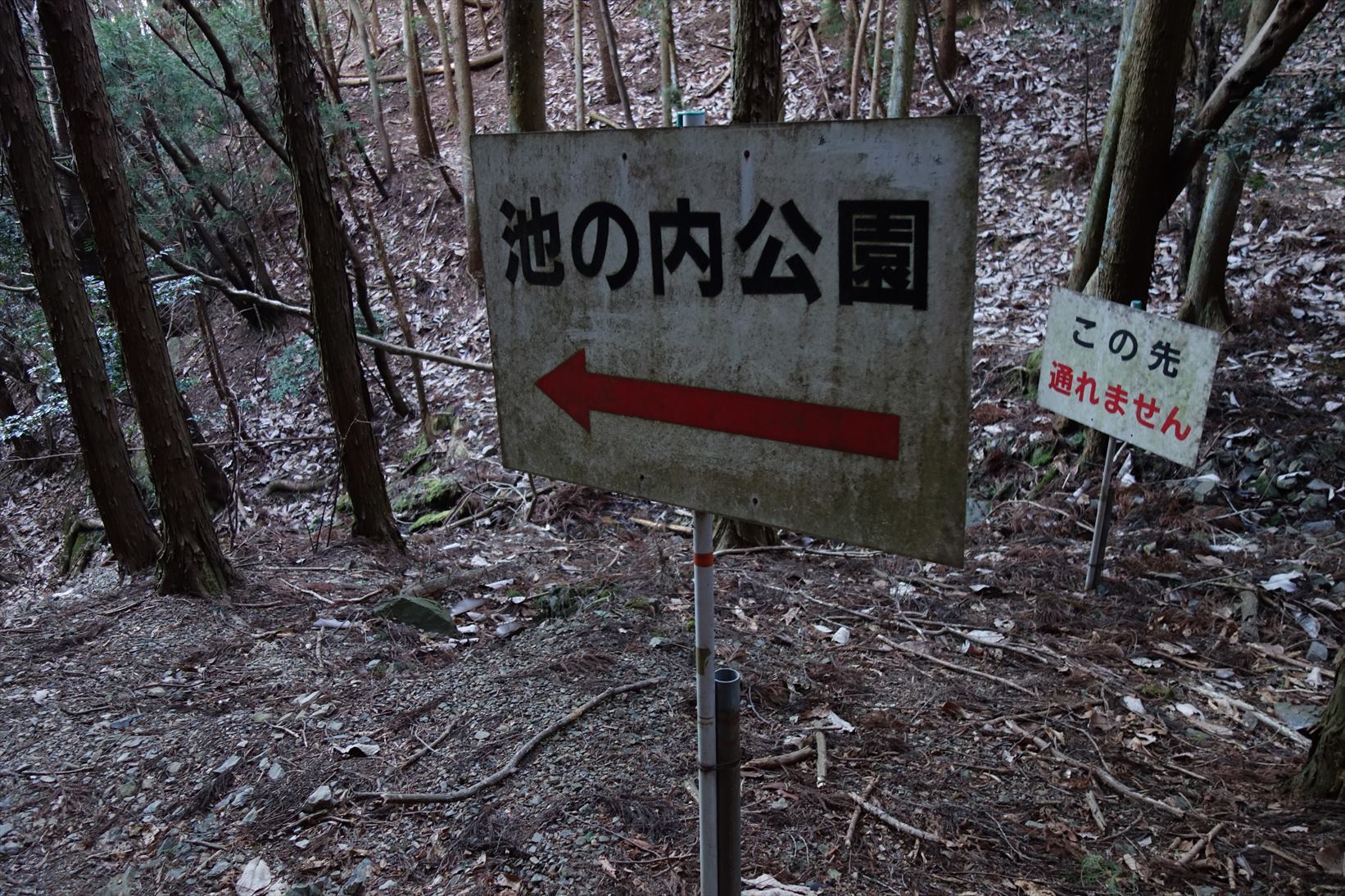 △　お花見山行　醍醐寺~音羽山　△_f0348933_21245995.jpg