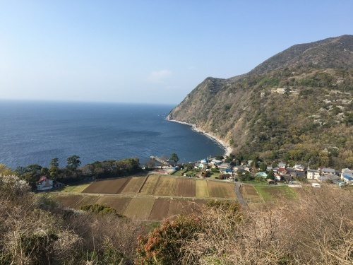 b0330040_01255116.jpeg