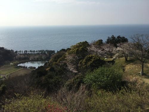 b0330040_01323100.jpeg