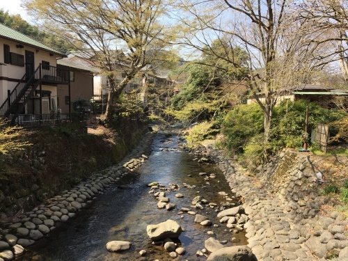 b0330040_10423688.jpeg