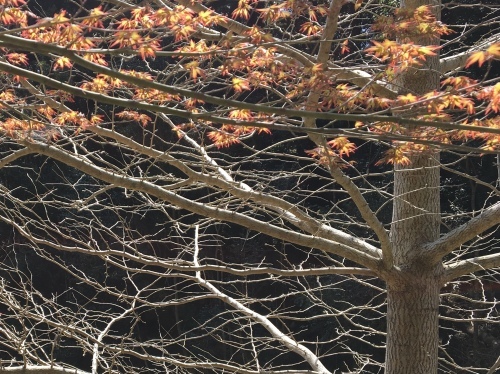 b0330040_12073708.jpeg