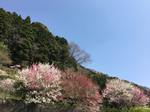 b0330040_14103254.jpeg