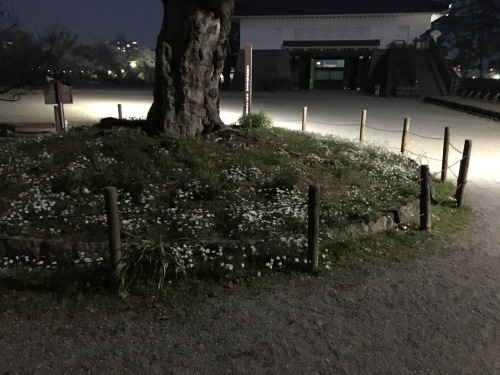 b0330040_16133996.jpeg