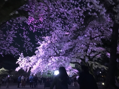 b0330040_16205172.jpeg