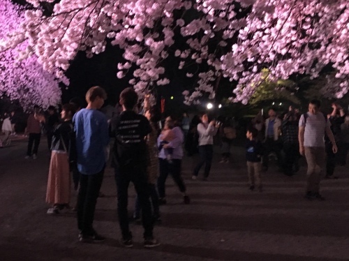 b0330040_22421370.jpeg